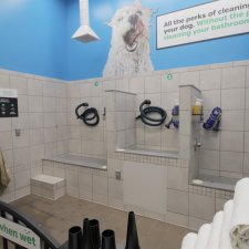 Pet Wash